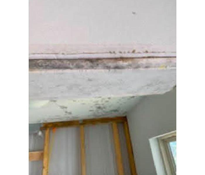 Mold growth on wall and ceiling.