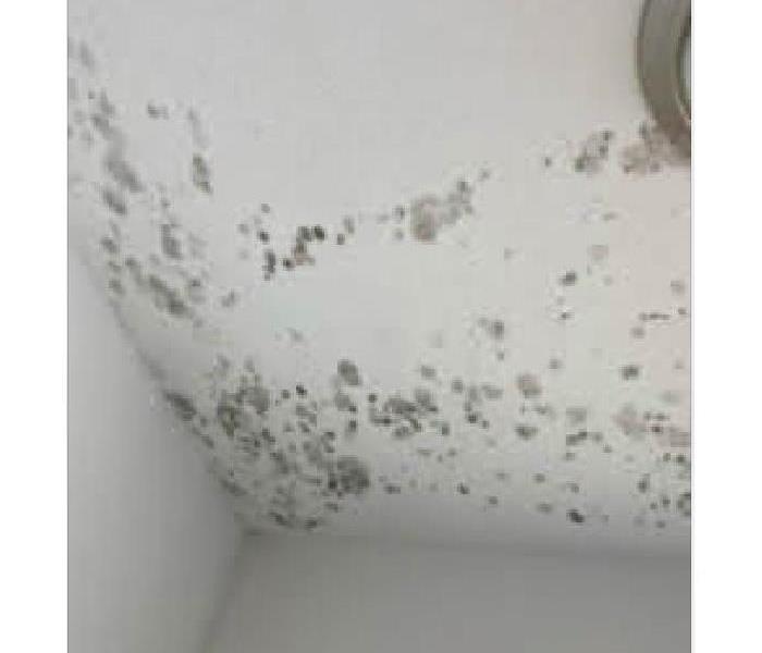 Mold growth on ceiling and wall.