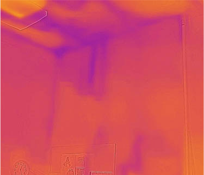 Thermal image.