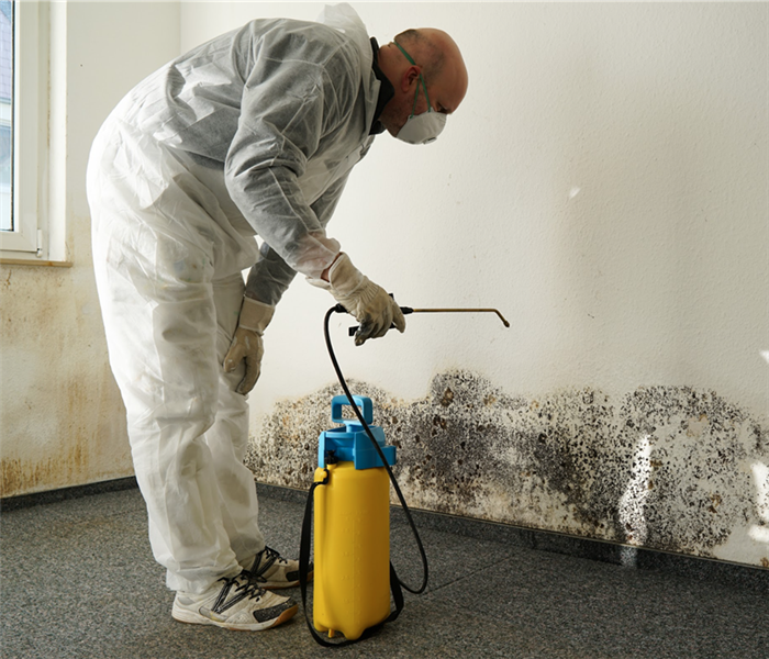 Technician wearing protective gear while removing mold