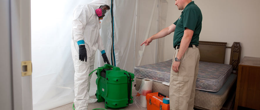 Georgetown, TX mold removal process